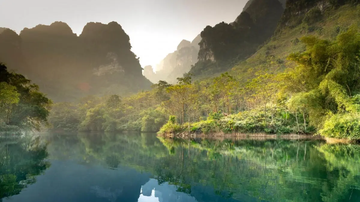 先进智能制造全自动